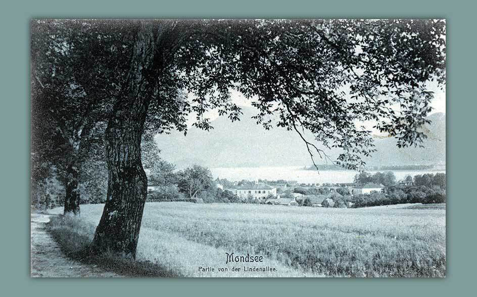 017_Mondsee_Partie-von-der-Lindenallee._-_Photobrom-ges.-gesch.-1906-No-1