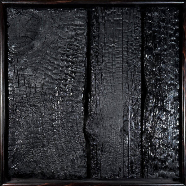 Dunkles, verkohltes Holz mit einzigartigen Texturen und Rissen, künstlerisch im Shou-Sugi-Ban-Stil behandelt.
