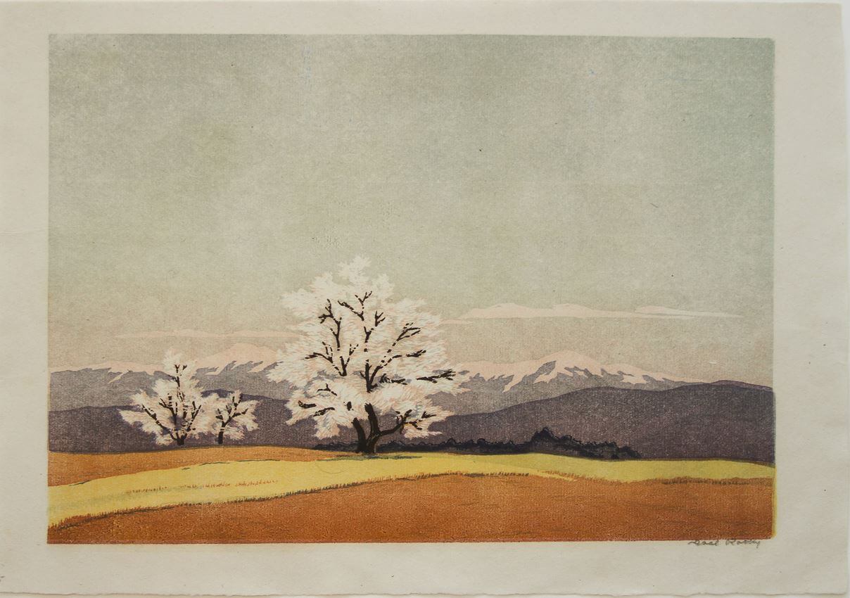 Rotky Carl Blühender Baum