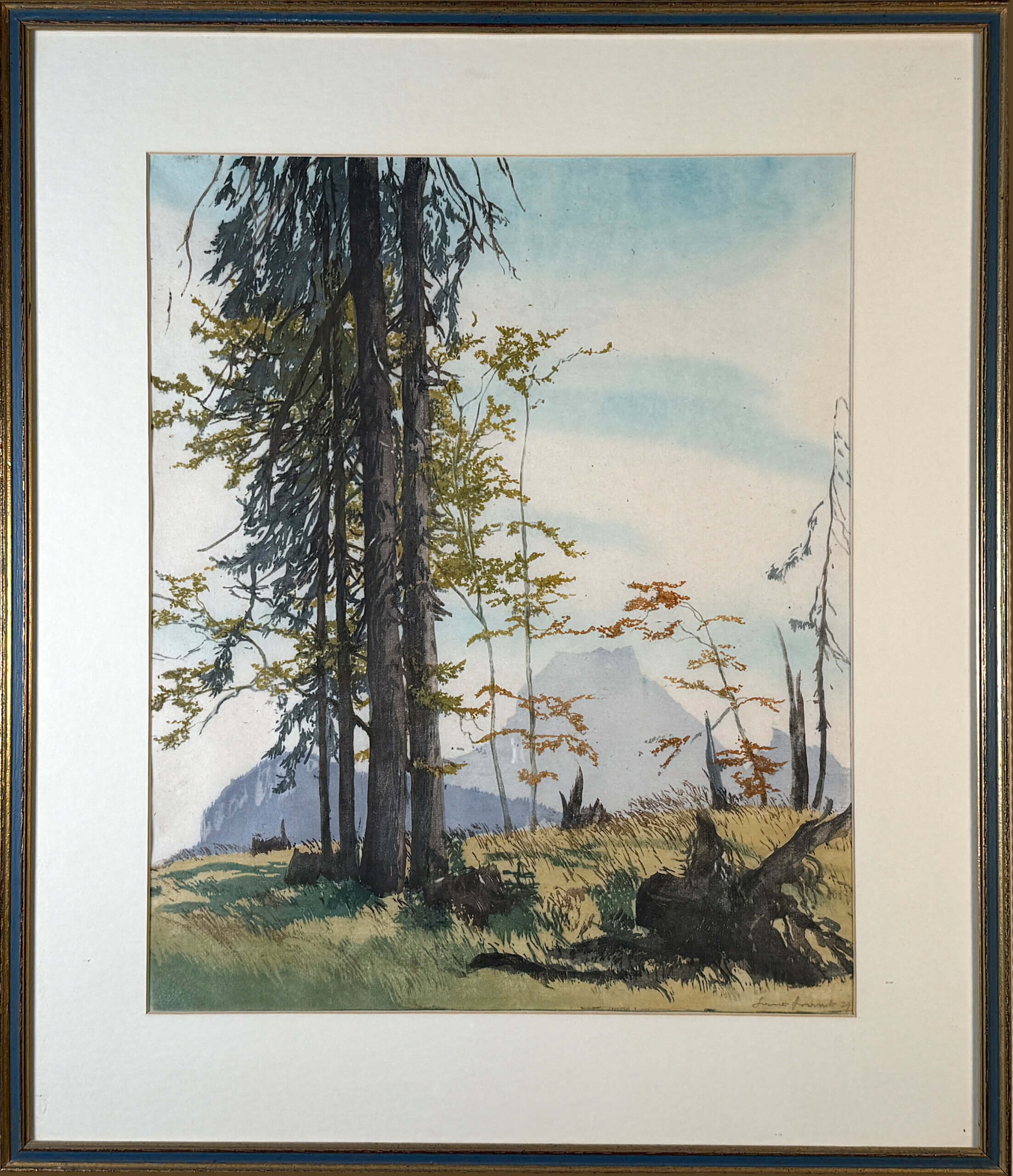 Frank Hans Traunstein